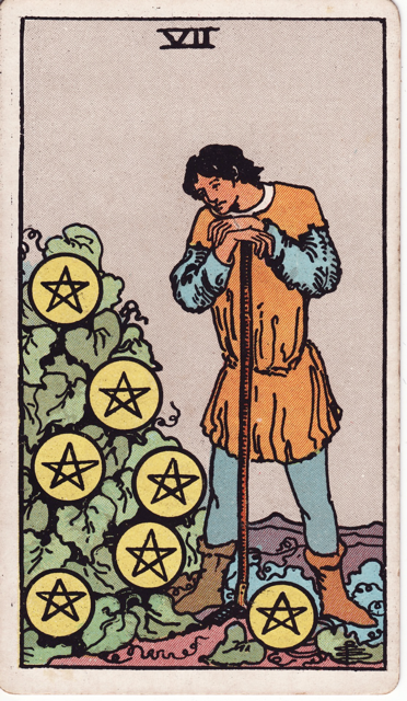 Pentacles7